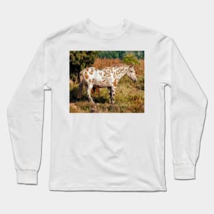 Appaloosa Long Sleeve T-Shirt